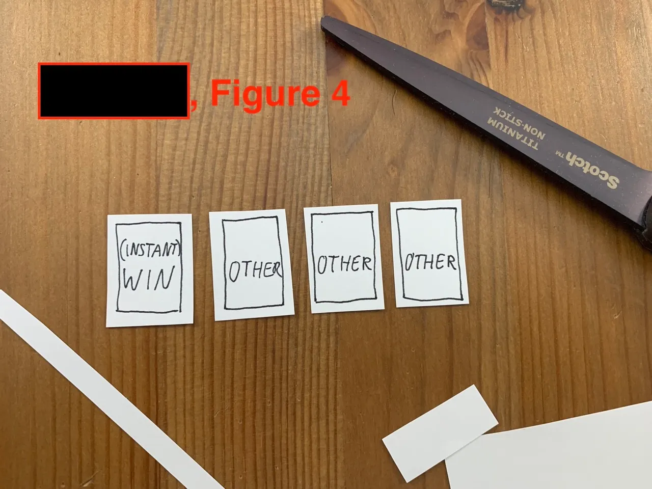 Figure 4 - Les rectangles découpés tenus en main
